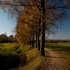 IMG_3354
