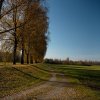 IMG_3355