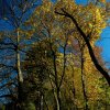 IMG_3361