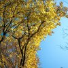 IMG_3362