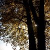 IMG_3368