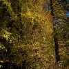 IMG_3372