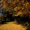 IMG_3378