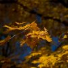 IMG_3382