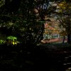 IMG_3387