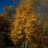 IMG_3400