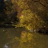 IMG_3401