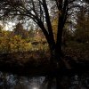 IMG_3403
