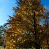IMG_3404