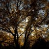 IMG_3408