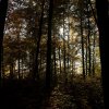 IMG_3493