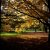 Nature - Der Herbst