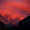IMG_1457