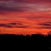 img_8945