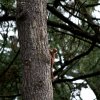 img_9295
