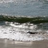 img_9369