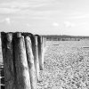 img_9377