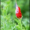IMG_1630