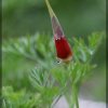 IMG_1633