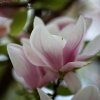 IMG_0641