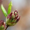 IMG_0643