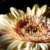IMG_1144