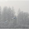 IMG_0022