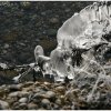 IMG_0036