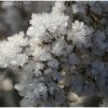 IMG_0062