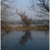 IMG_0091