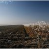 IMG_0097