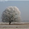 IMG_0163