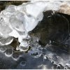IMG_0206