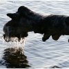 IMG_0254