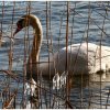IMG_0256