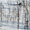 IMG_0261