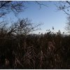 IMG_0284