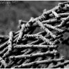 IMG_9856
