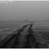 IMG_9872