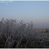 IMG_9884