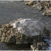 IMG_9996