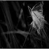 IMG_2697