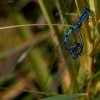 IMG_2716