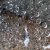 Nature - Spiderweb