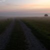 IMG_2076