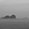 IMG_2078