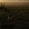 IMG_2133