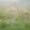 IMG_2135