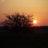 IMG_0449