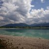 IMG_0980